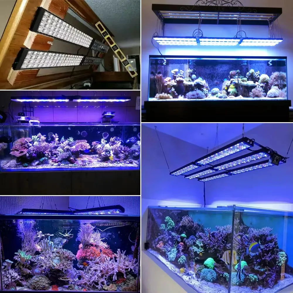 NEW PopBloom WiFi Led Aquarium Light, Full Spectrum Marine Aquarium Lamp For 60-240cm Reef Corals Seawater Led Fish Tank Lights