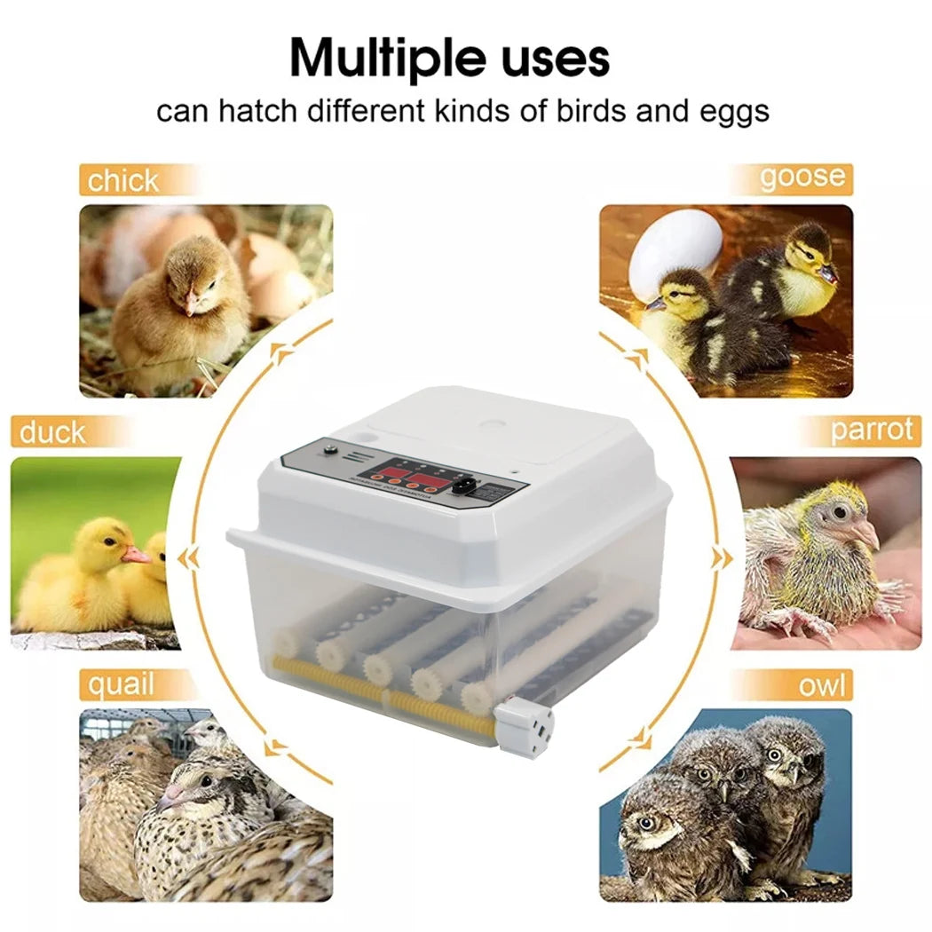 PORIYA 12 Egg Incubator Fully Automatic Digital LED Turning Chicken Eggs Poultry