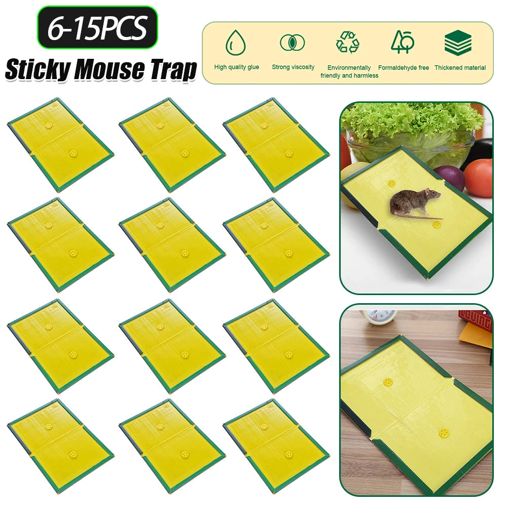 Glue Traps Non-Toxic Mouse Rat Insect Sticky Adhesive Ready To Use Indoors Outdoors Long-Lasting in Restaurant Kitchen Hotel