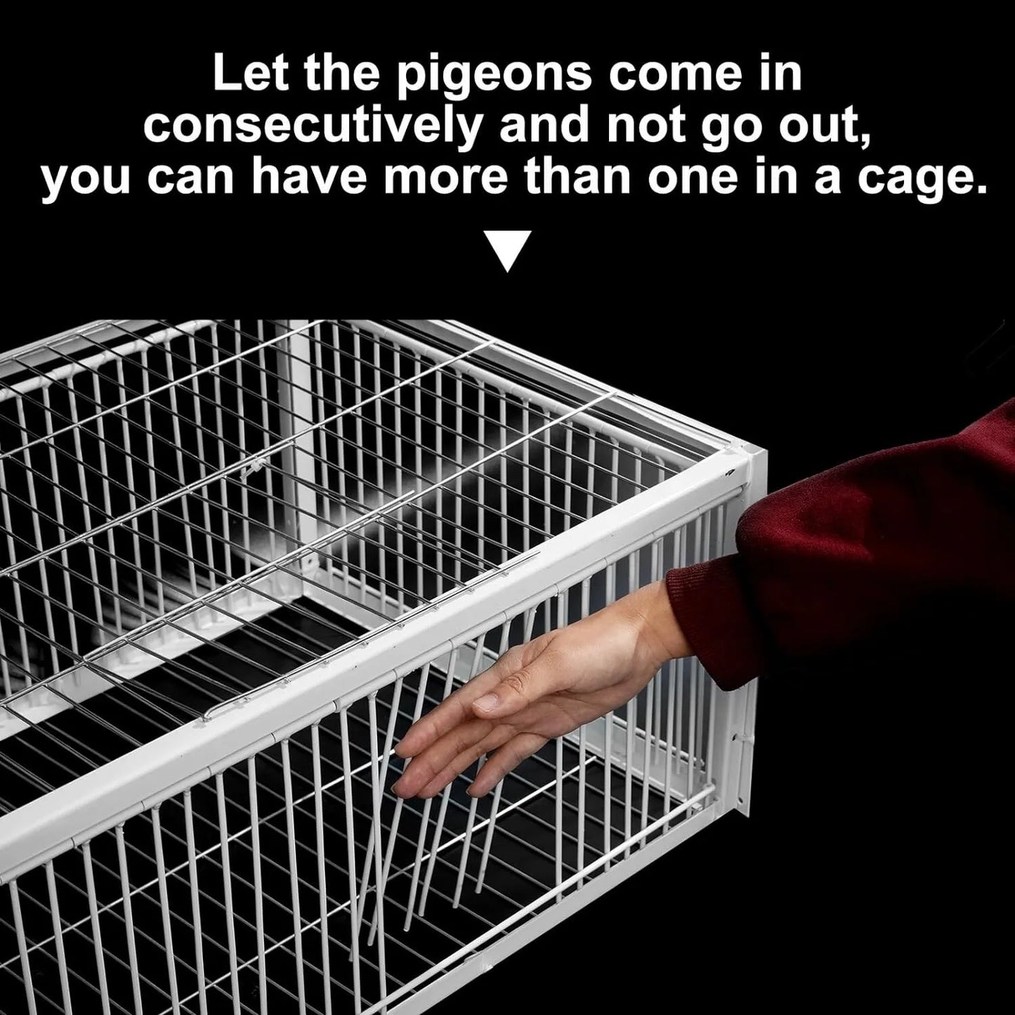 Pigeon Traps with Four Channel One Way Entrance Pigeon Cage with Anti-Escape