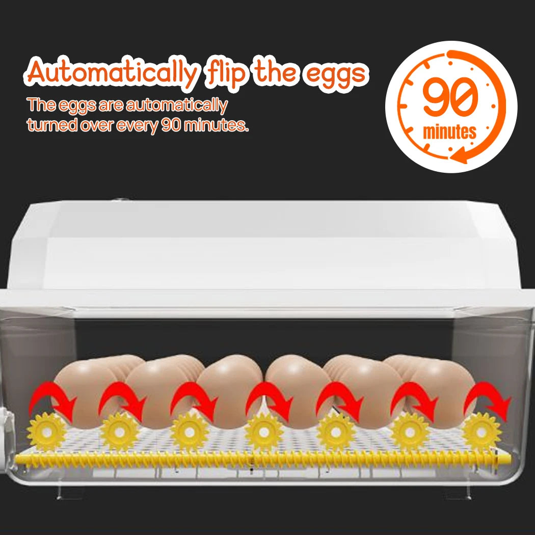 PORIYA 12 Egg Incubator Fully Automatic Digital LED Turning Chicken Eggs Poultry
