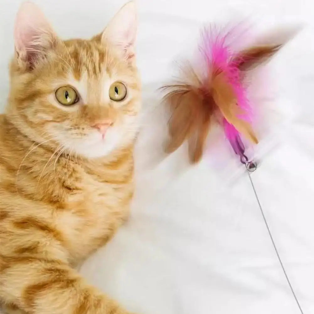 Interactive Cat Collar Toy Teasing Wand with Colorful Feathers and Bell Adjustable Design Self Playing Toy Pet Cat Teaser Wand