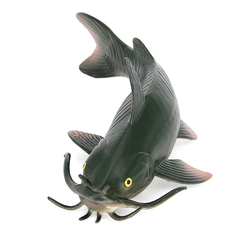 Children's Simulation Aquatic Animal Catfish Model  Solid Static Ornaments Action Figure Model  Kid Gifts