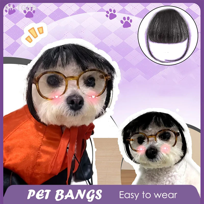 Funny Cat Wig Trimmable Pet Wig Cat Wig Supplies Pet Accessories Creative Pet Decor Wig Thin Light Smooth Cat Wig Pet Supplies
