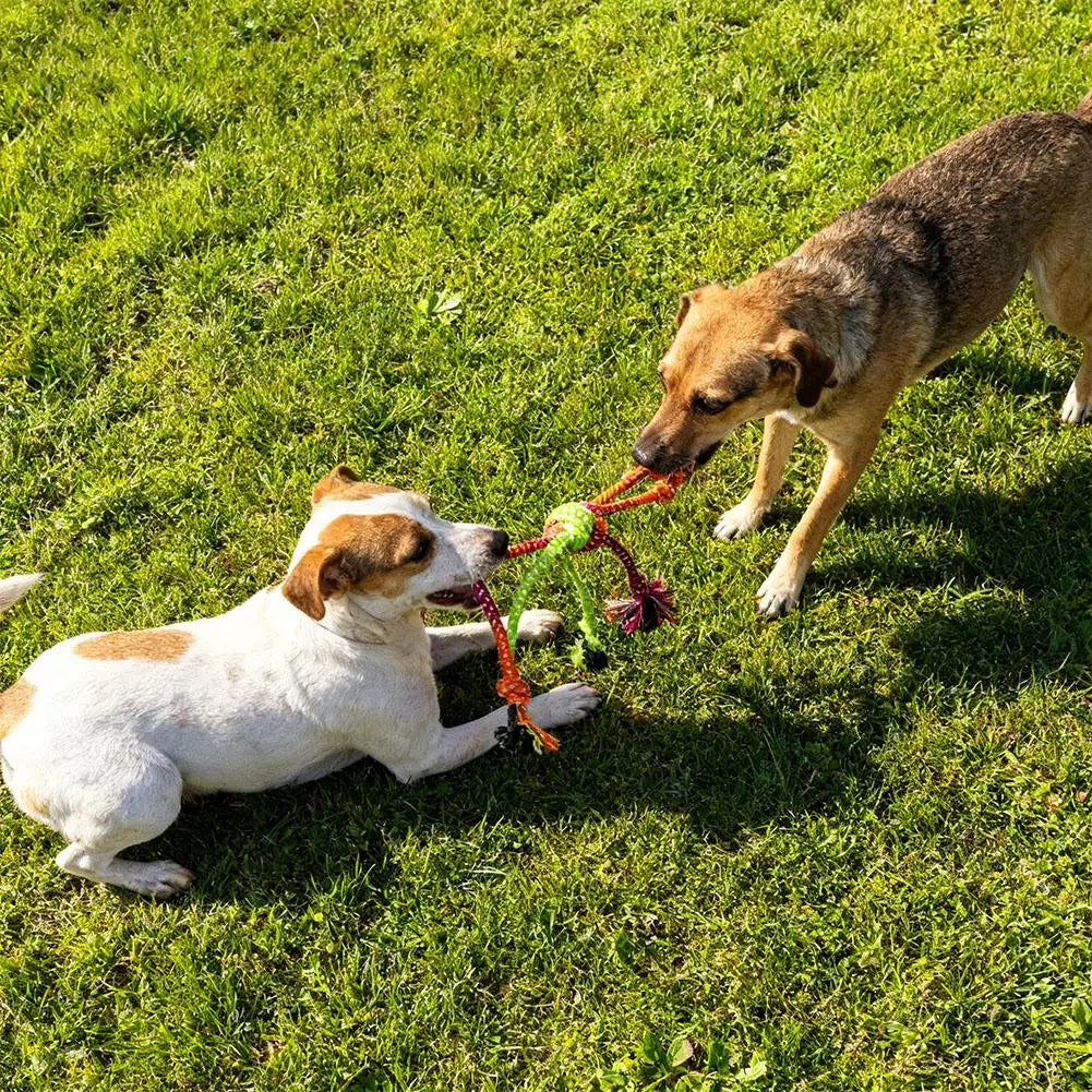1pc Durable Bite-Resistant Interactive Knot Toy for Dogs- Chewable Rope with Green&Orange Fringes,Playful Design, Dog Toys