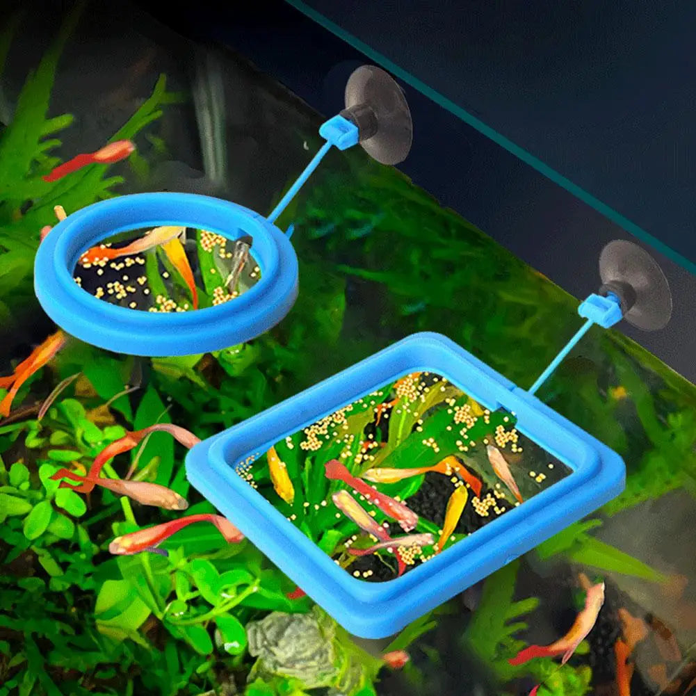 Aquarium Fish Feeding Fish Tank Blue Floating Station Food Tray Feeder Prevent Food Dispersion Fish Pinch with Suction Cup