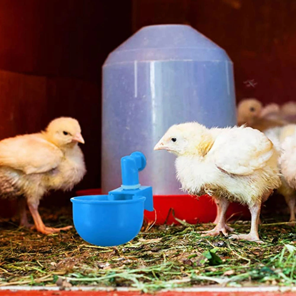 Poultry Chicken Automatic Drinker Cup Waterer Nipple Chook Bird Water Feed