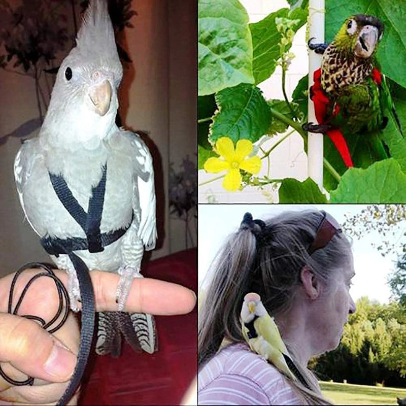 Training Flying Traction Rope Anti-Bite Training Rope Bird Leash Parrot Flying Rope Parrot Harness Bird Harness Leash 2030