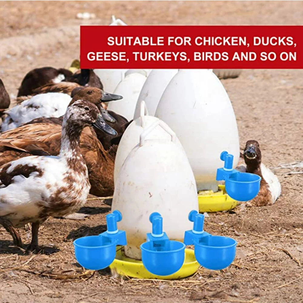 Poultry Chicken Automatic Drinker Cup Waterer Nipple Chook Bird Water Feed