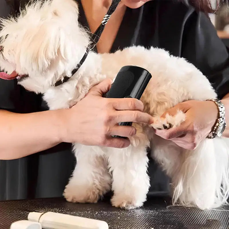 Professional Pet Deshedding Brush Ergonomic Grooming Brush Multifunctional Dog Cat Hair Remover Shedding Groom Tool