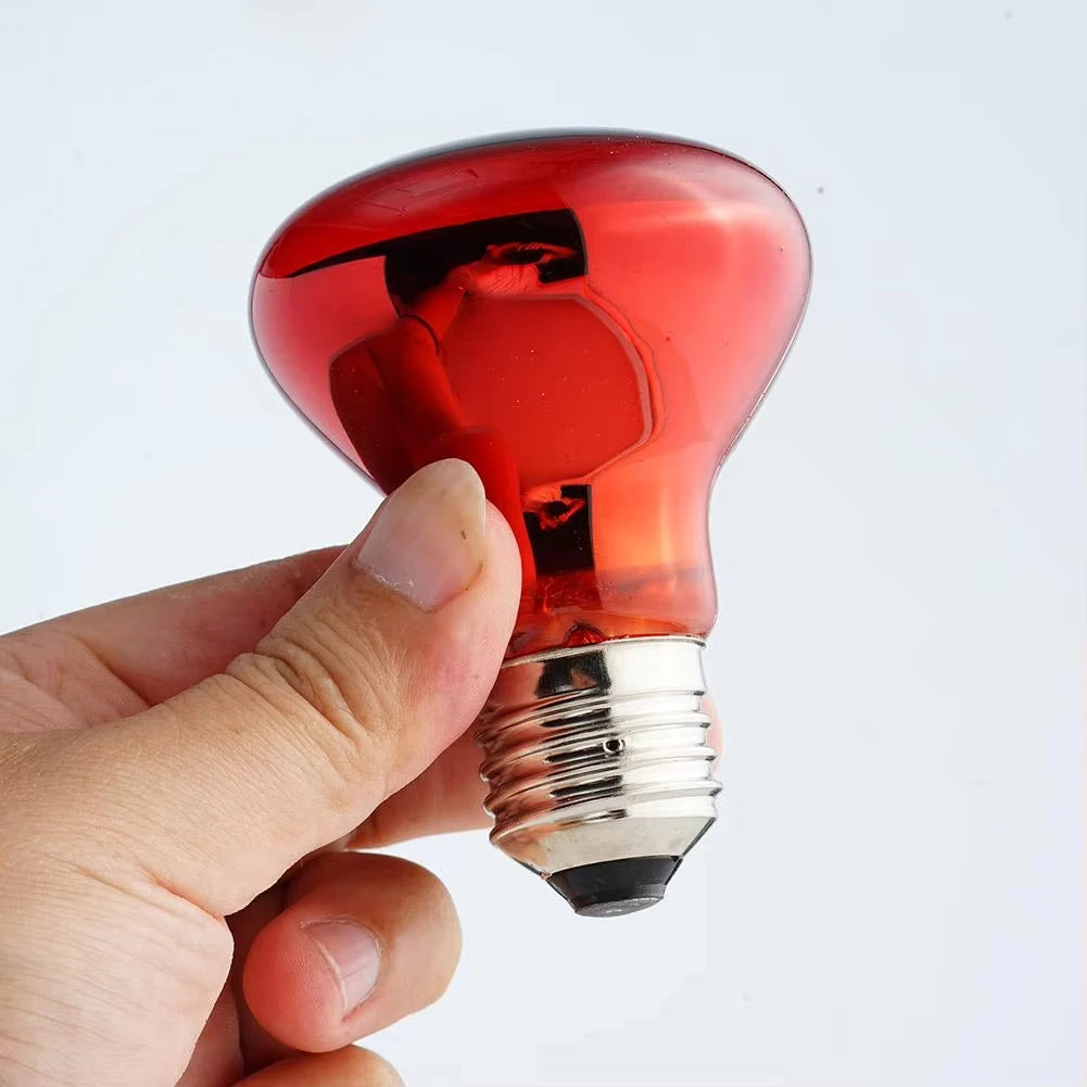 E27 Poultry Heating Bulb 25W-100W Infrared Insulation Heating For Reptiles Plants Amphibians Pets Livestock Lamp Tools