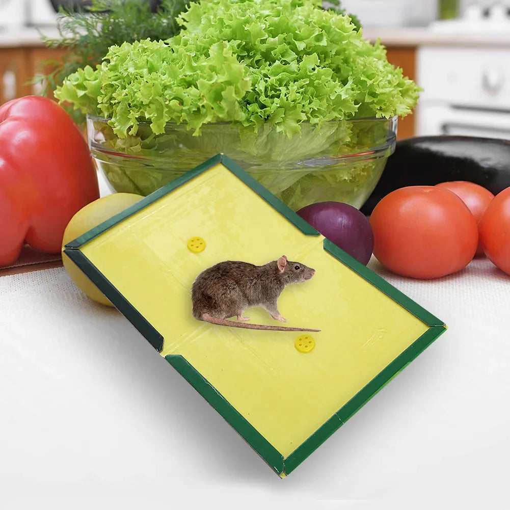 30-5PCS High Effective Mouse Board Sticky Mice Glue Trap Mouse Rat Insect Sticky Snake Bugs Catcher Pest Control Mouse Traps