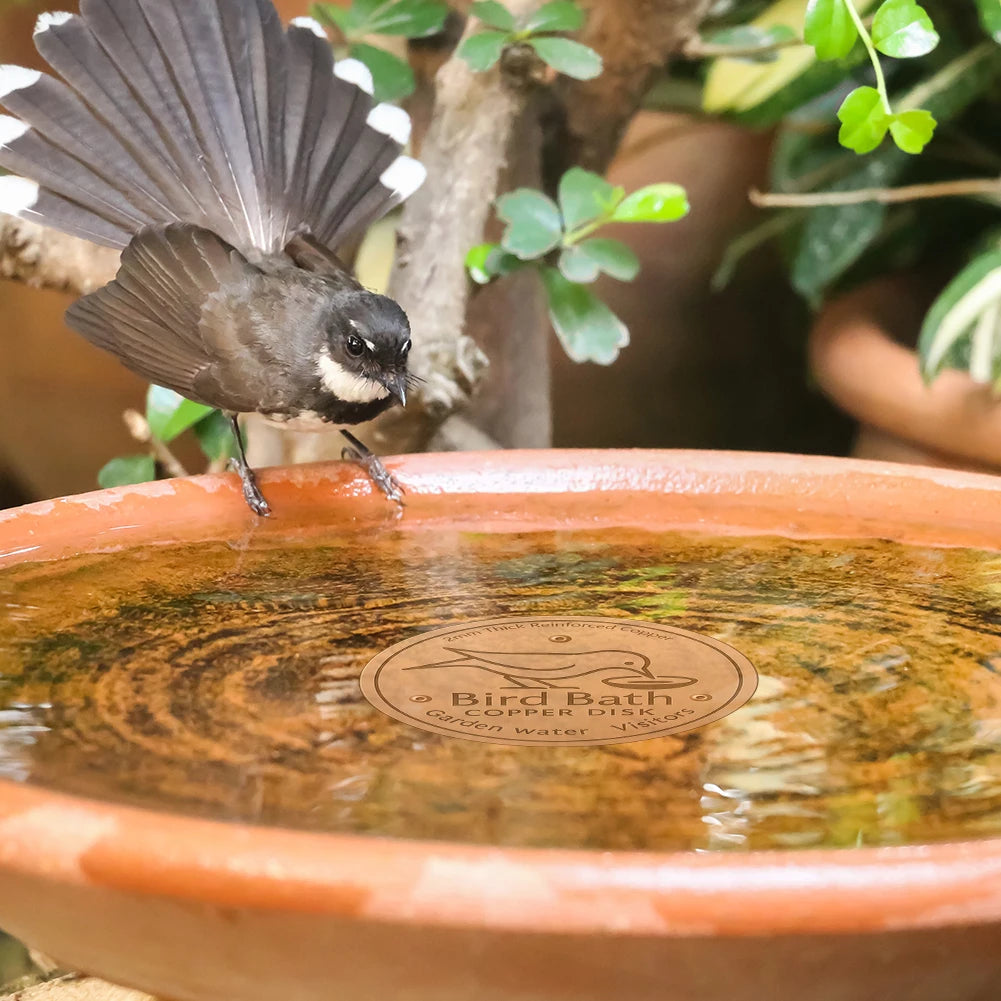 Bird Bath Copper Disk Triple-Point Support Copper Cleaning Disk Copper Bird Bath Purification Disk for Outdoor Birdbaths Bowl