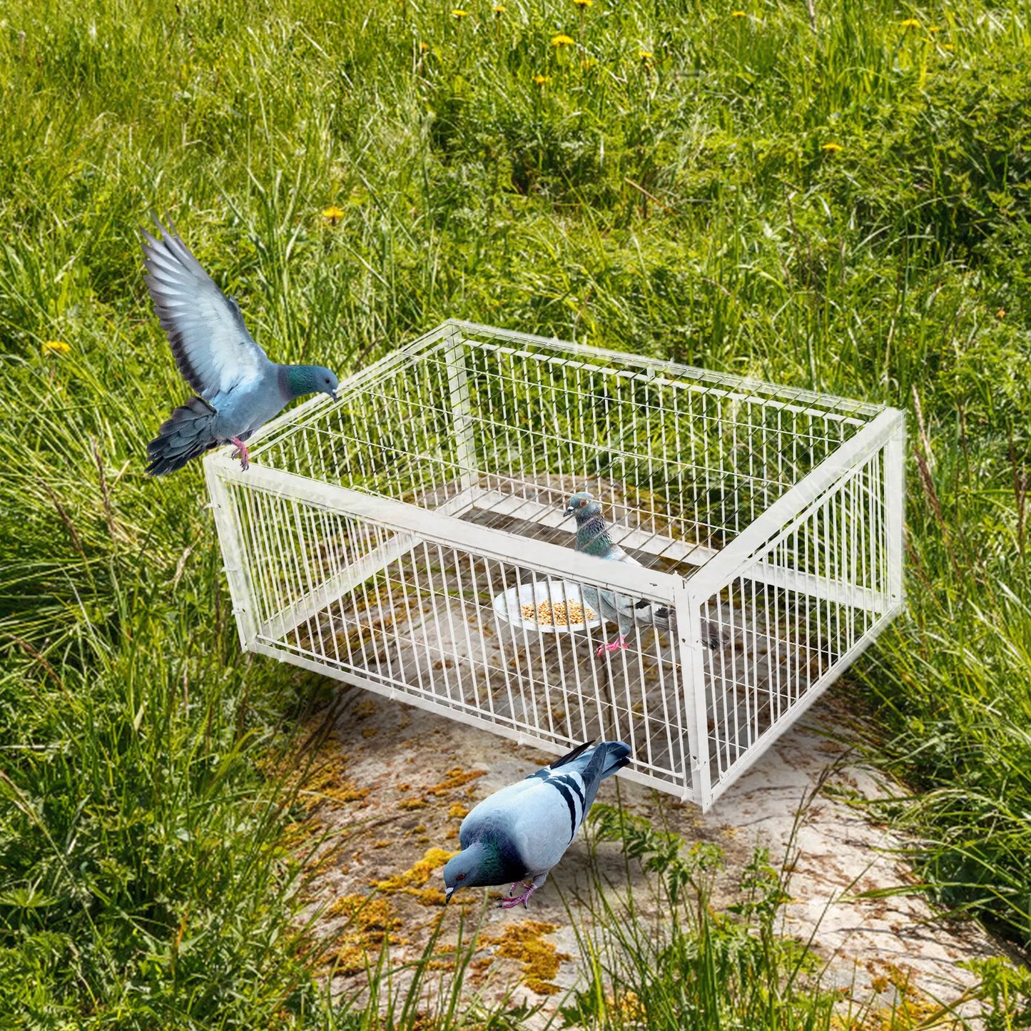 Pigeon Traps with Four Channel One Way Entrance Pigeon Cage with Anti-Escape