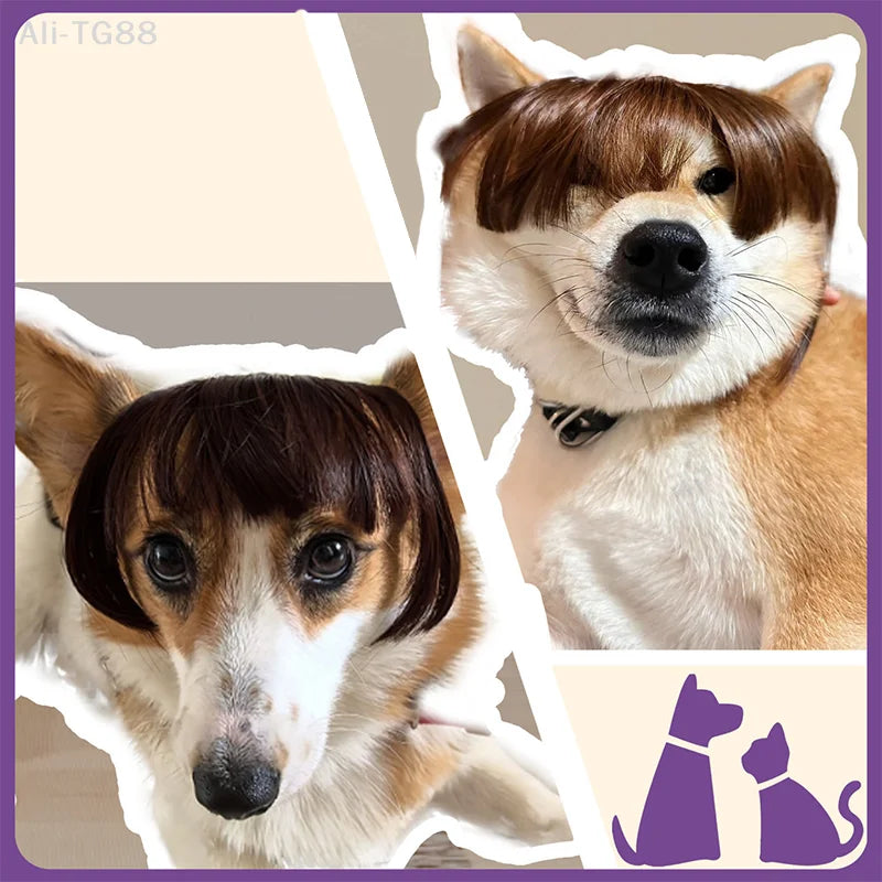 Funny Cat Wig Trimmable Pet Wig Cat Wig Supplies Pet Accessories Creative Pet Decor Wig Thin Light Smooth Cat Wig Pet Supplies