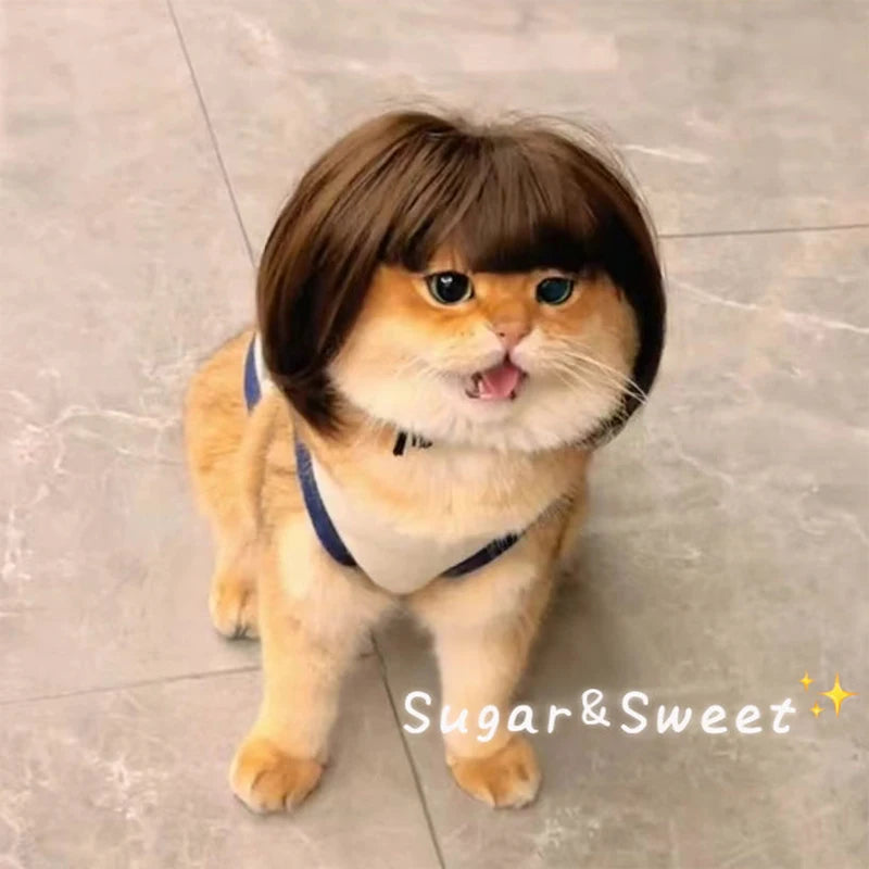 Funny Cat Wig Trimmable Pet Wig Cat Wig Supplies Pet Accessories Creative Pet Decor Wig Thin Light Smooth Cat Wig Pet Supplies
