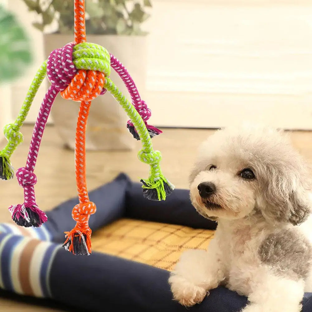 1pc Durable Bite-Resistant Interactive Knot Toy for Dogs- Chewable Rope with Green&Orange Fringes,Playful Design, Dog Toys