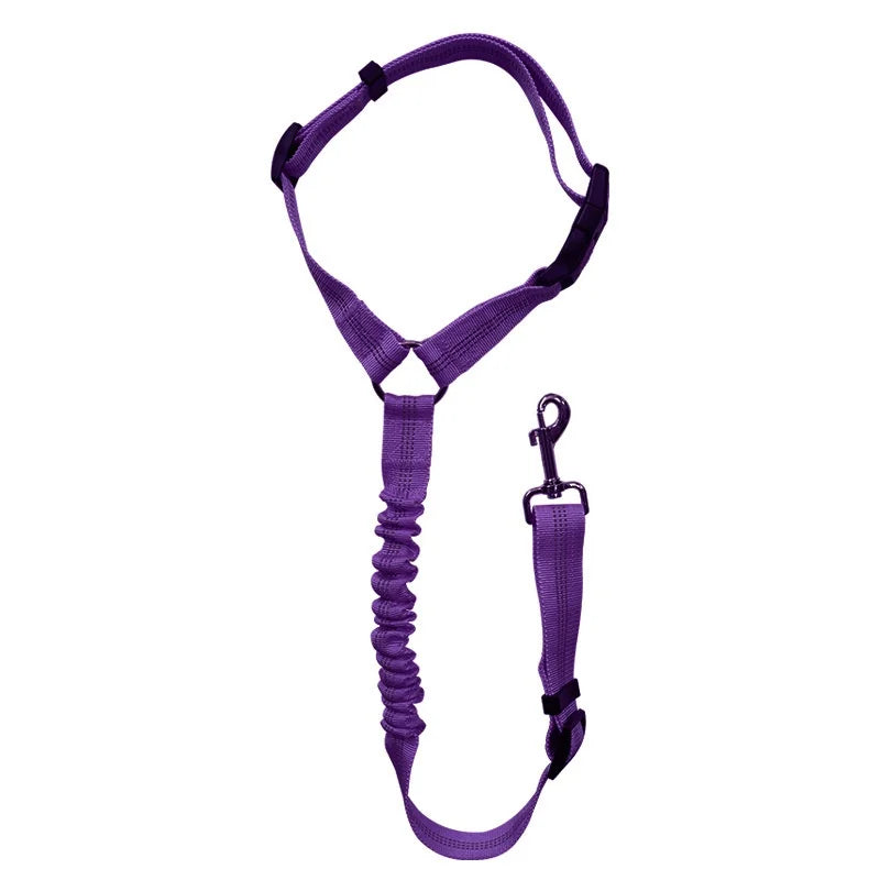 Reflective Pet Dog Car Seat Belt Puppy Collar Walking Travel Car Accessories Cat Leash Harness for Small Dogs Pet Car Supplies