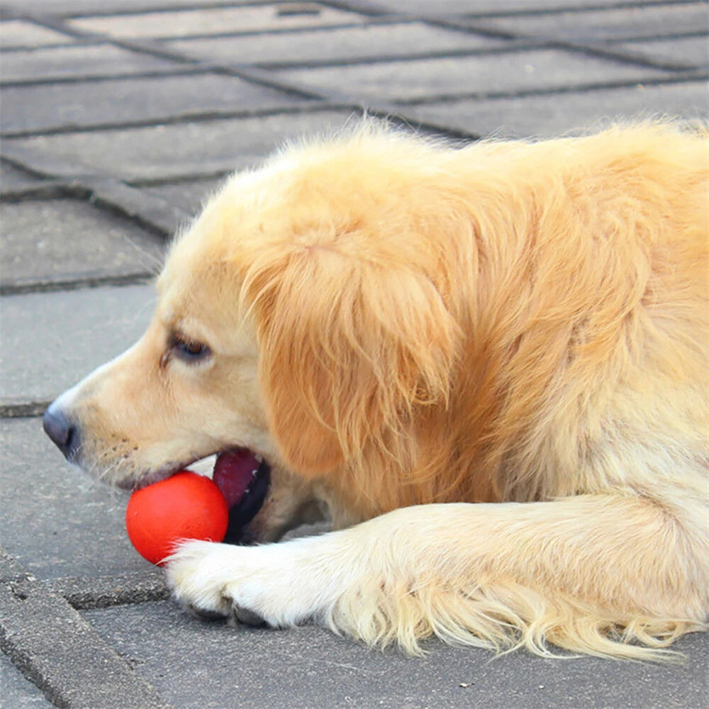 Solid Training Toy Rubber Ball Pet Puppy Dog Chew Play Fetch Bite Bouncy TPRBall