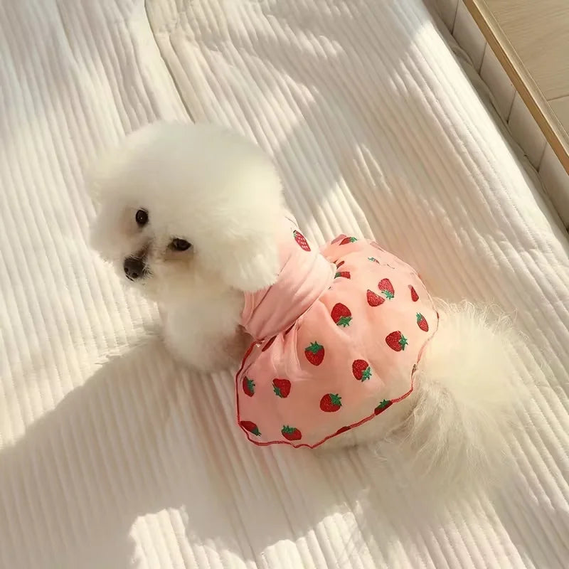 Summer Thin Puppy Princess Skirt Dog Clothes Cute Pet Dog Dress for Small Dogs Chihuahua York Clothing Pet Supplies