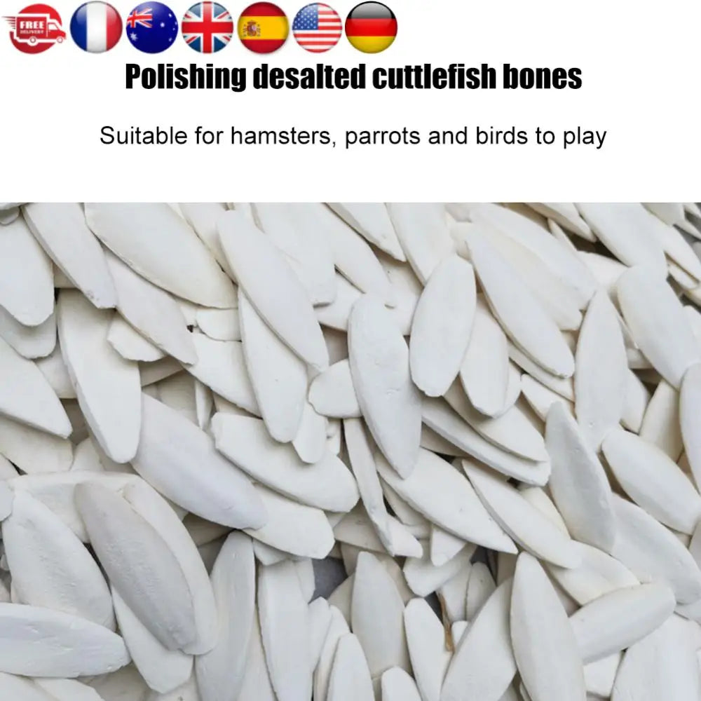 10pcs Pet Bird Food Demineralized Chewing Cuttlefish Bone Edible Crawling Pet Molar Toy Nutritional Supplements Sports Equipment
