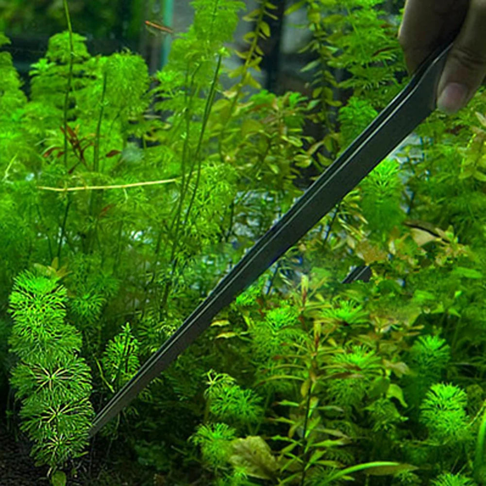 10.5 Inch Reptile Feeding Tongs Stainless Steel Plant Aquascape Tool Ergonomic Fish Tank Long Tweezers for Terrarium Aquarium