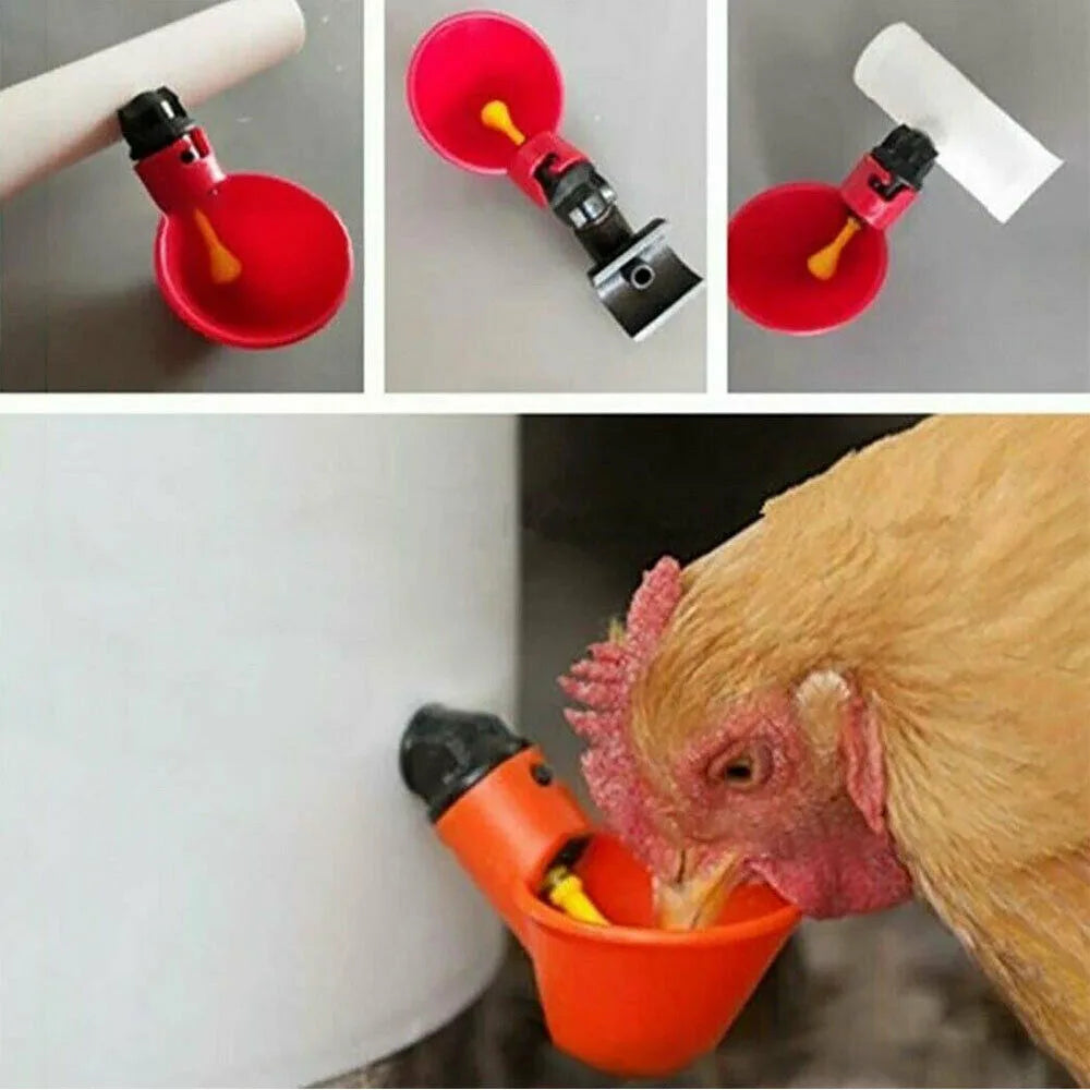 10PCS Automatic Cups Water Feeder Drinker Chicken Waterer Poultry Chook Bird AU