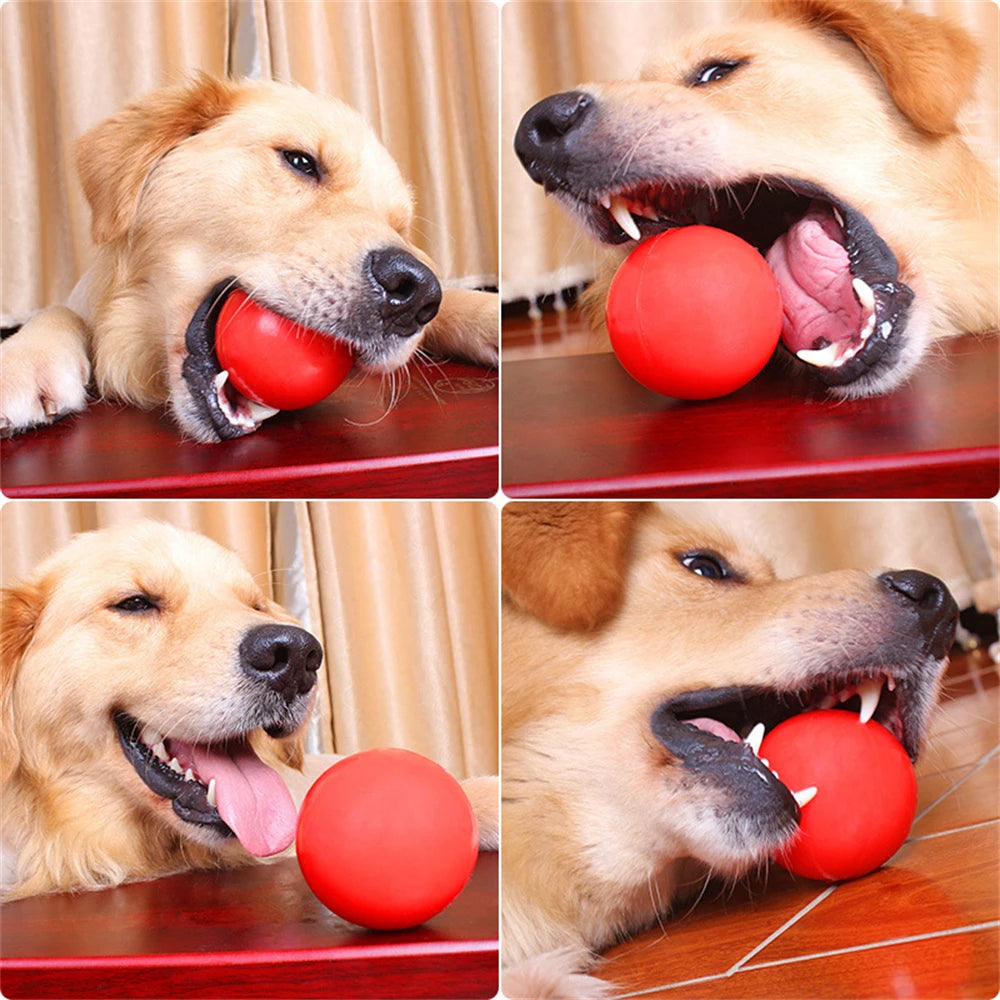 Solid Training Toy Rubber Ball Pet Puppy Dog Chew Play Fetch Bite Bouncy TPRBall