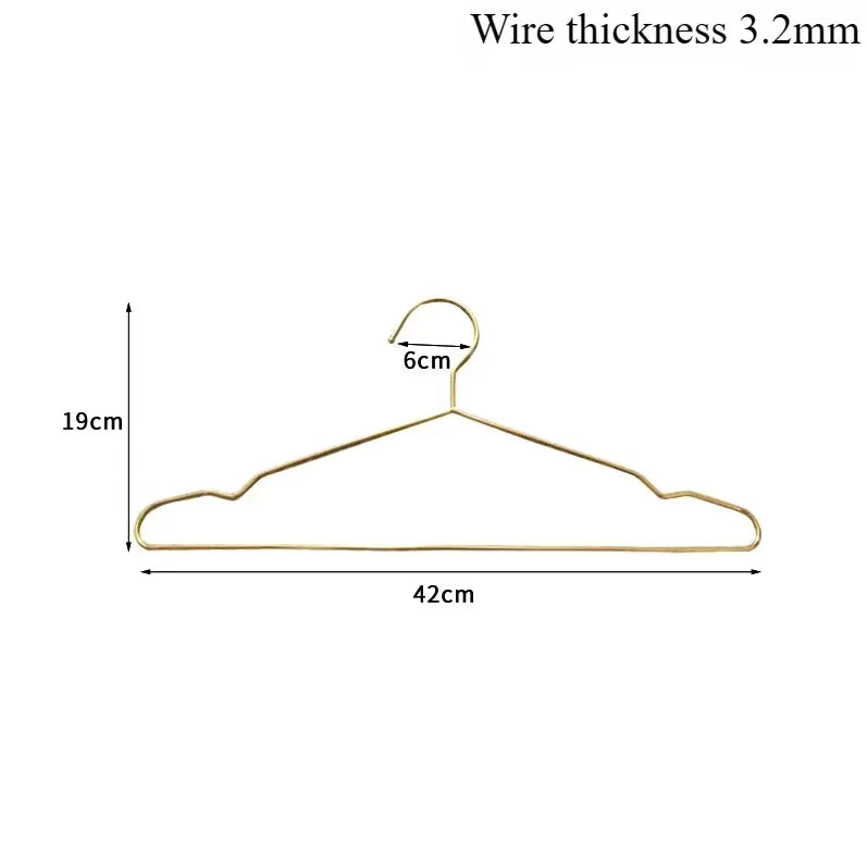 10PCS Stainless Steel Coat Hangers,Household Soild Metal Clothes Hanger for Adults Children Pet,Non-slip  Closet Organizer Rack