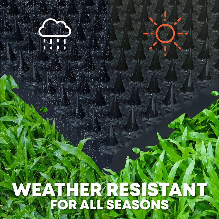 Cat Repeller Cats Repellent Plants Accessories Bird Kitchen Gadgets Exterior Scarecaper Supplies Spikes For Dog Scare Pigeons