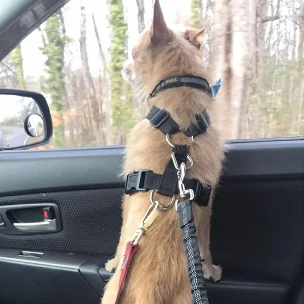 Dog Leash Harness Dogs Dog Accessories Supplies Pet Dog Car Seat Belt Retractable Buffer Elastic Reflective Safety Traction Rope