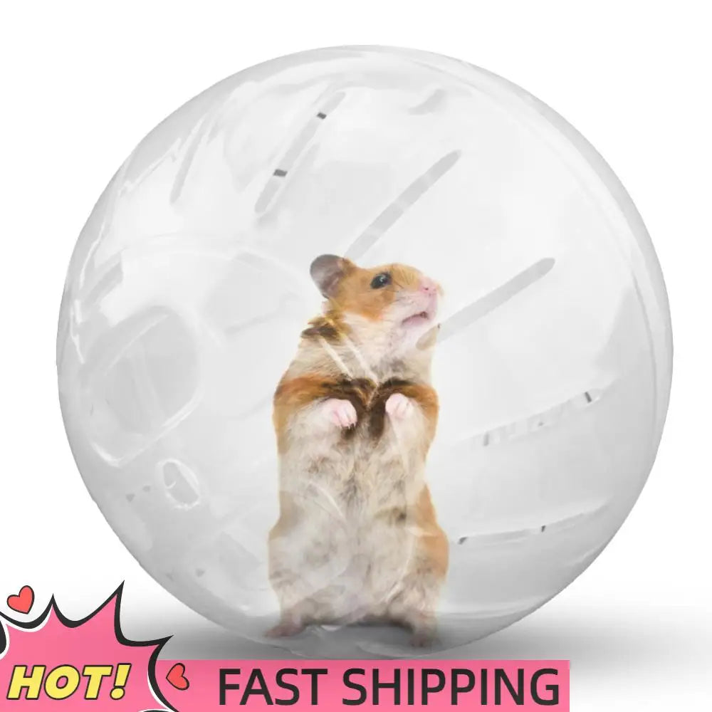 Mini Portable Pet Jogging Ball Plastic Gerbil Hamster Running Ball Accessories