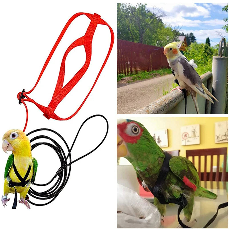 Training Flying Traction Rope Anti-Bite Training Rope Bird Leash Parrot Flying Rope Parrot Harness Bird Harness Leash 2030