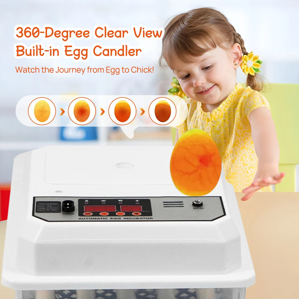 PORIYA 12 Egg Incubator Fully Automatic Digital LED Turning Chicken Eggs Poultry