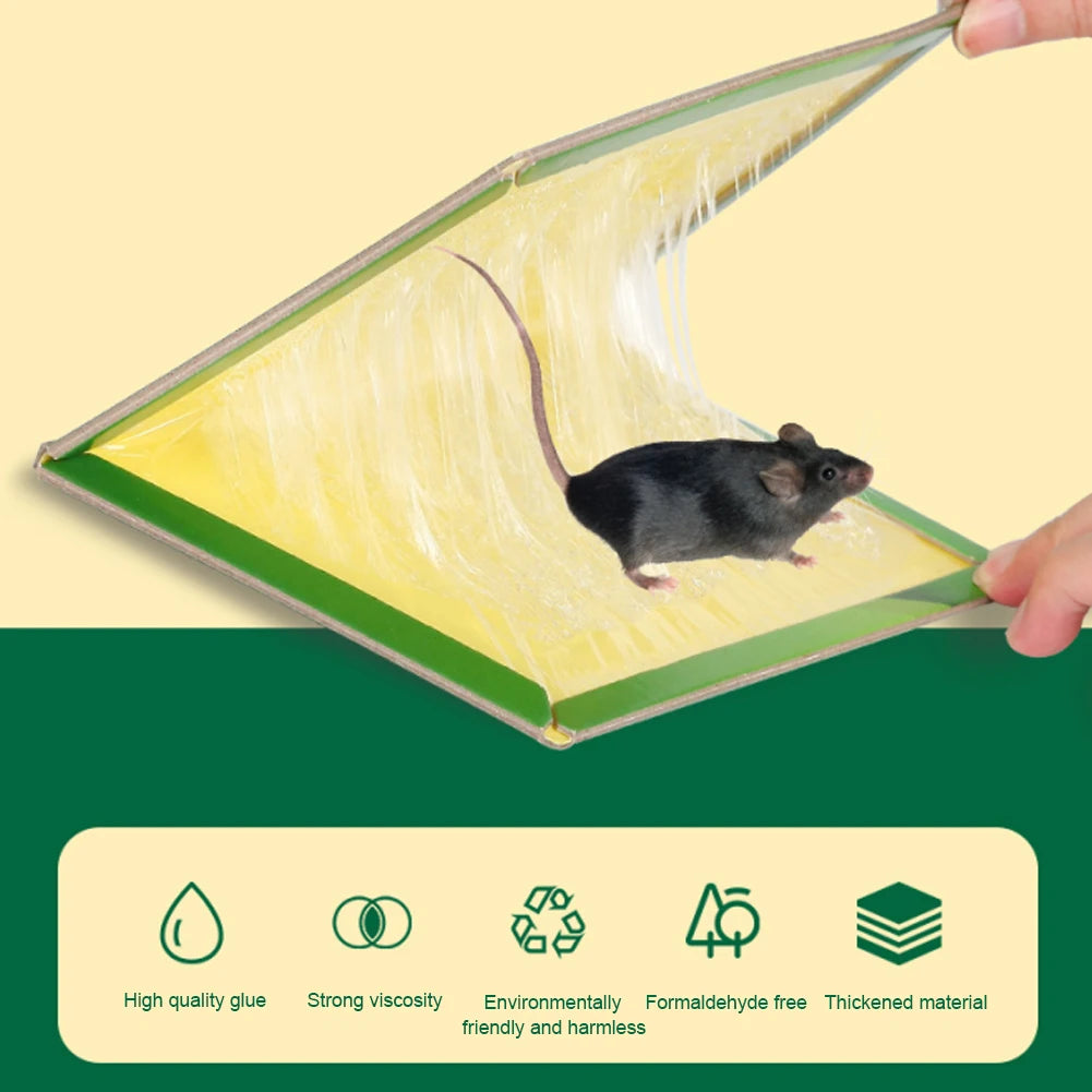 Glue Traps Non-Toxic Mouse Rat Insect Sticky Adhesive Ready To Use Indoors Outdoors Long-Lasting in Restaurant Kitchen Hotel
